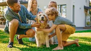 2025 Guide to Pet Insurance: Is It Right for You?